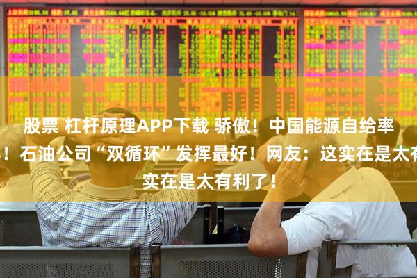 股票 杠杆原理APP下载 骄傲！中国能源自给率约85%！石油公司“双循环”发挥最好！网友：这实在是太有利了！