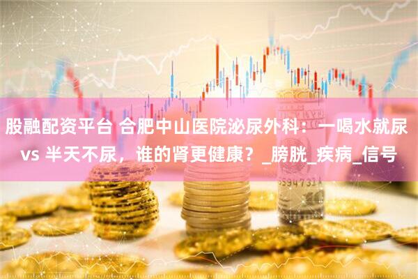 股融配资平台 合肥中山医院泌尿外科：一喝水就尿 vs 半天不尿，谁的肾更健康？_膀胱_疾病_信号